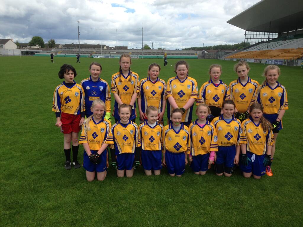Offaly Cumann na mBunscol Recent School Finals