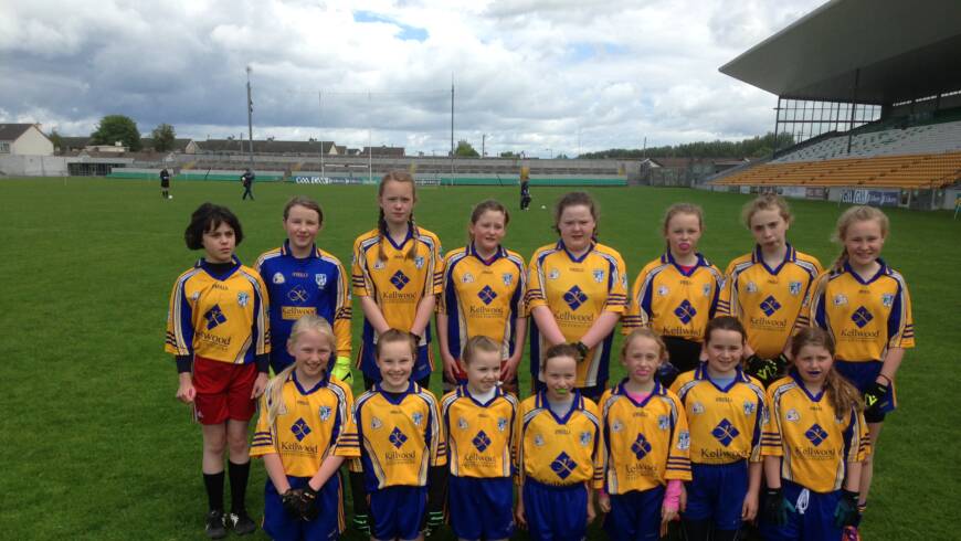 Offaly Cumann na mBunscol Recent School Finals