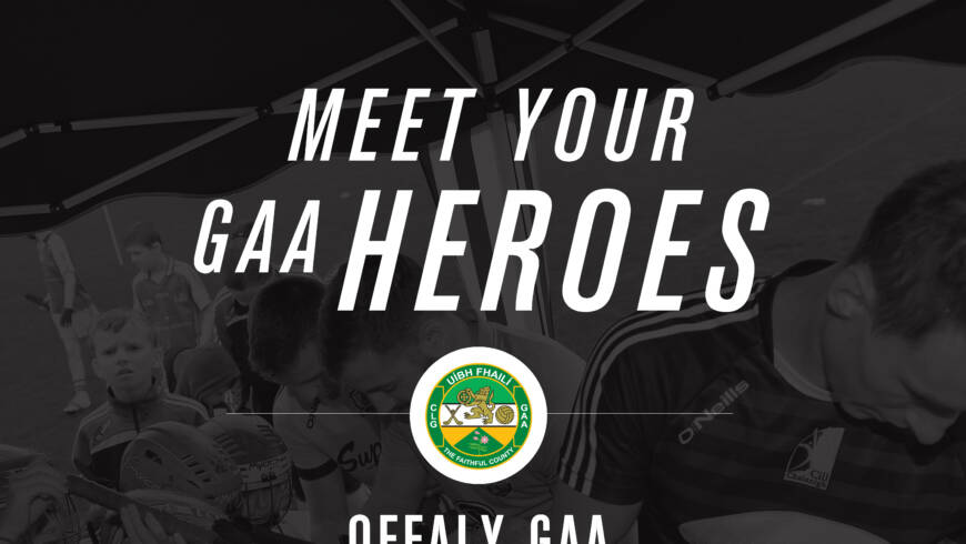 Come Play With Offaly Senior Hurlers This Sunday