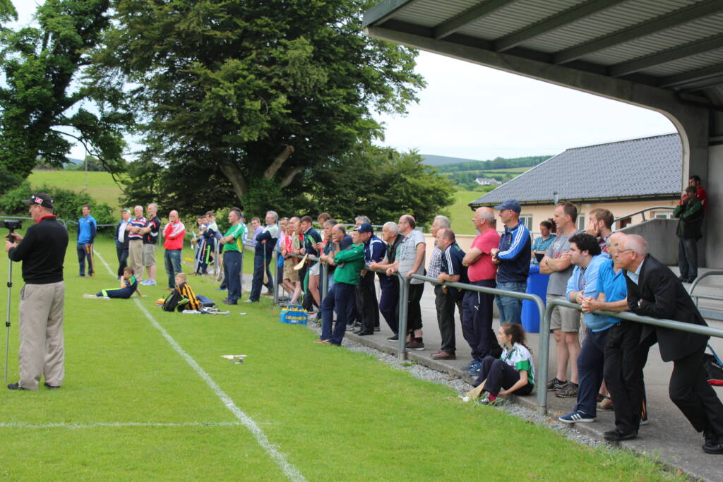 Advanced Hurling Workshop 1 Report
