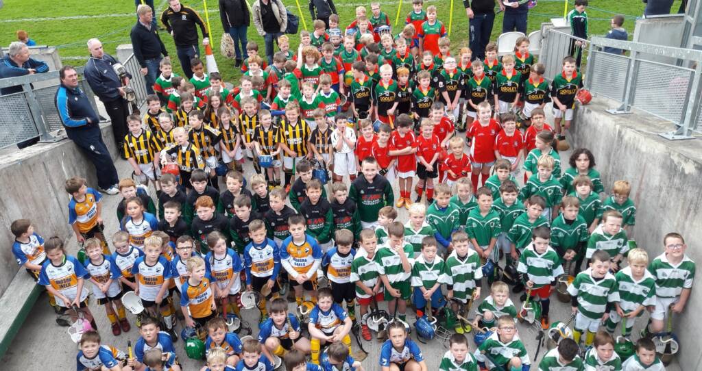 Successful U8 Hurling Blitz