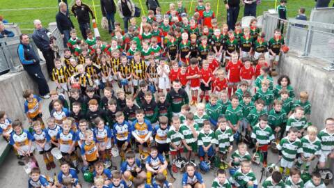 Successful U8 Hurling Blitz