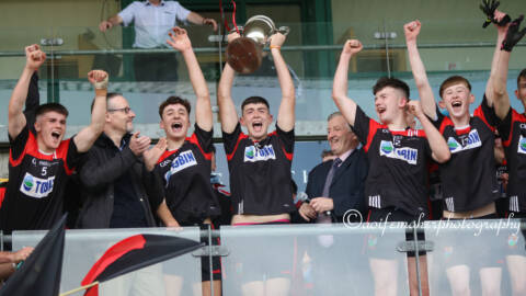 Minor Glory for Na Fianna