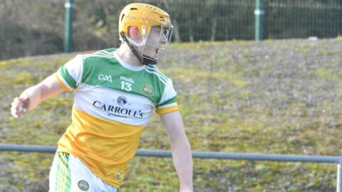 Offaly Hurlers Off To Winning Start In League