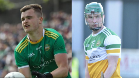 Hurlers Home Versus Kerry; Footballers Travel To Wicklow