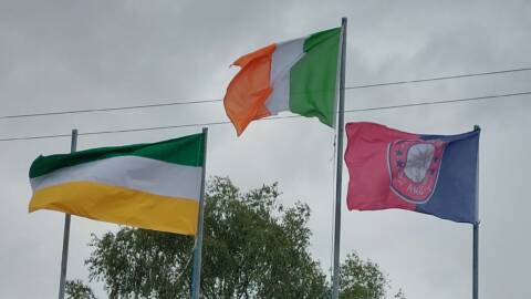 Offaly Ease Past New York In Tailteann Cup