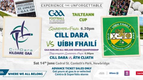 Offaly Travel To Newbridge For Tailteann Cup Q/Final