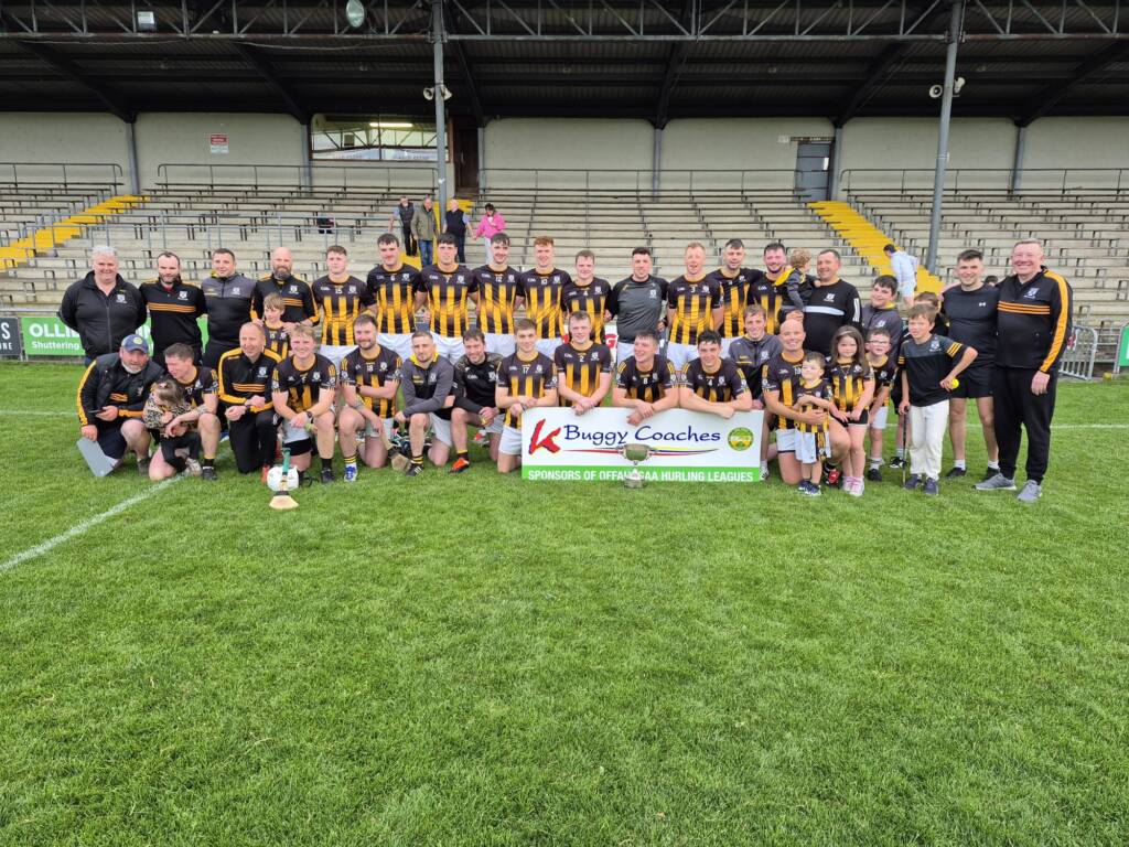 K Buggy Coaches Division 1 Hurling League final