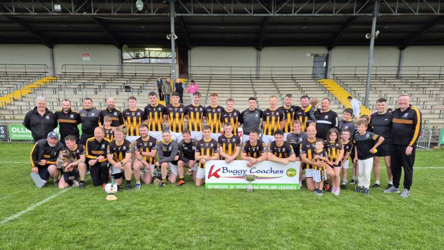 K Buggy Coaches Division 1 Hurling League final