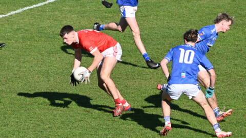 Impressive Edenderry take home the Minor Title as Tullamore are halted 