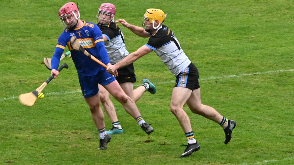 Clodiagh Gaels bow out as Carnew Emmets march on 