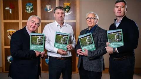 ‘Exciting’ new format proposed for Leinster SHC