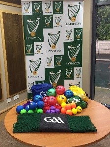 Leinster GAA “Have a Ball” Programme (5/6 year olds)