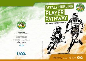 Download Offaly Hurling Player Pathway