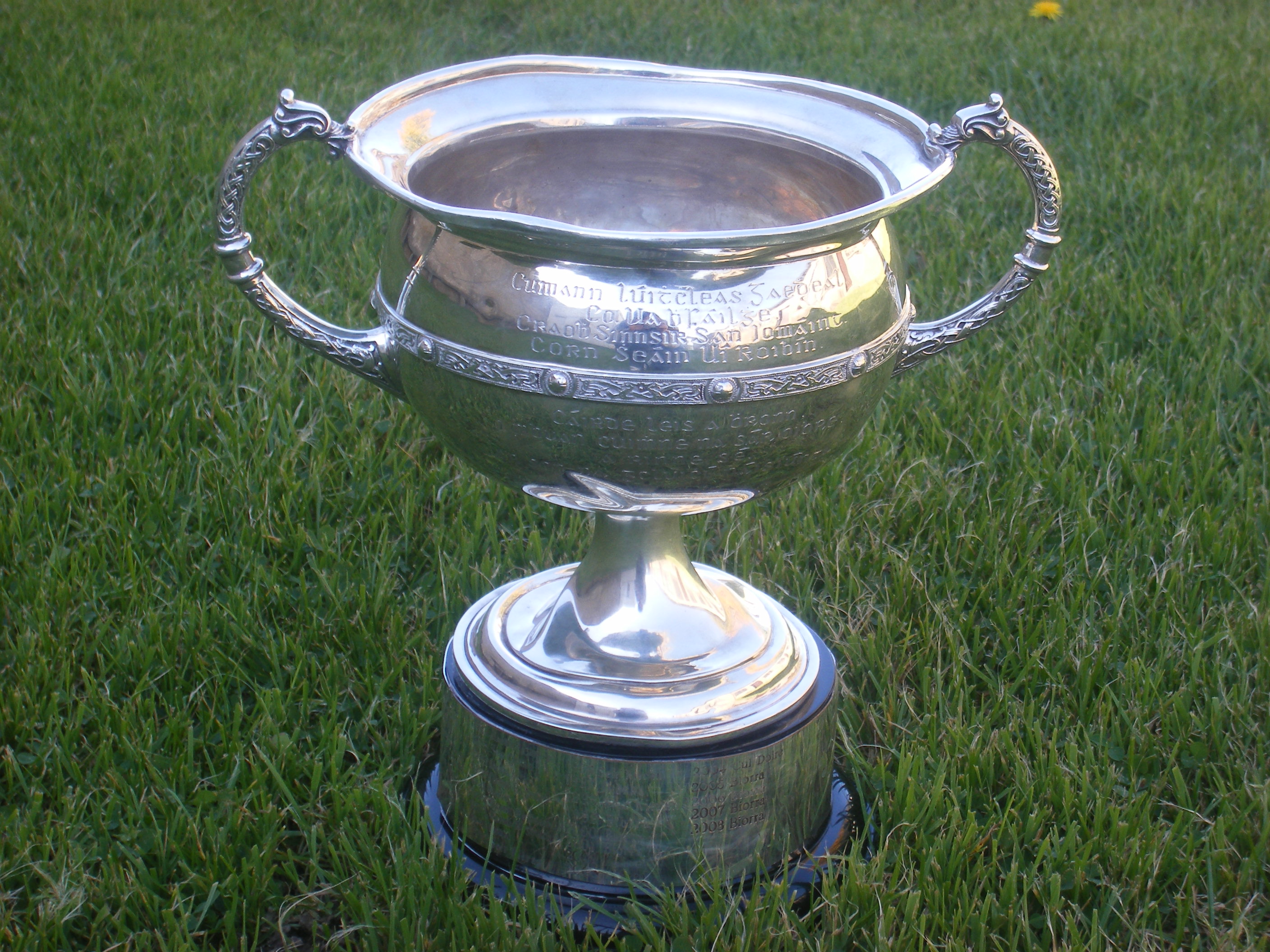 robbins cup Offaly GAA