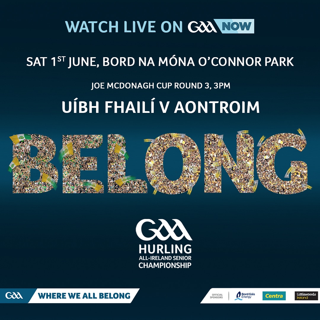 Offaly Senior Hurling Team to play Antrim announced