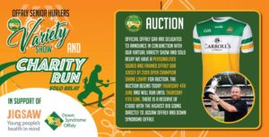 Log-In Info For Offaly Hurlers’ Virtual Variety Show For Charity