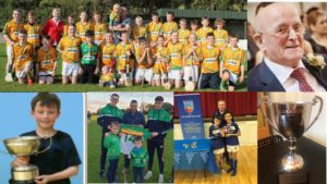 Tournaments For Underage GAA Players In Offaly