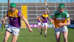 Spirited Display By Offaly Hurlers In Wexford