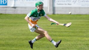 Excellent Offaly Progress To Leinster MHC Final