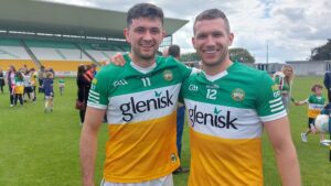 2nd Win For Offaly In Tailteann Cup