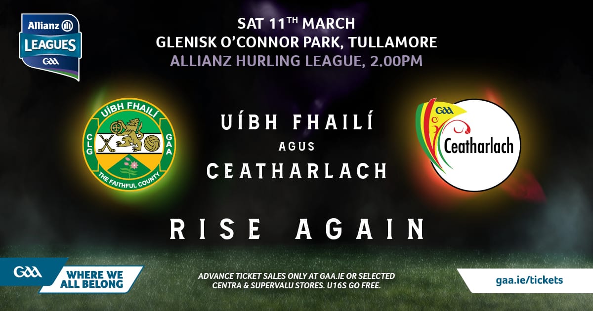 Hurlers At Home To Carlow On Saturday